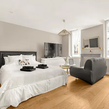 Apartment La Perle Colombette- Elegant - Hyper Centre Toulouse